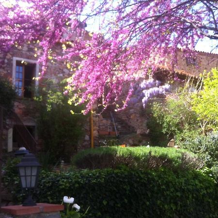 Bed and Breakfast La Figuera Camelas Екстер'єр фото