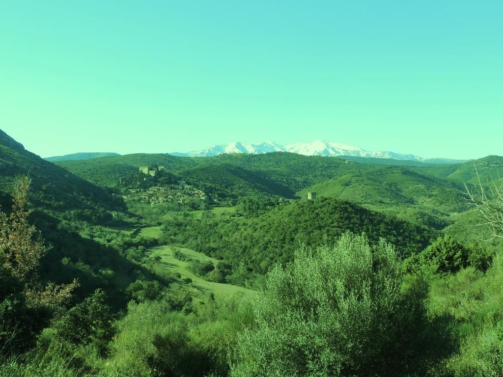 Bed and Breakfast La Figuera Camelas Екстер'єр фото