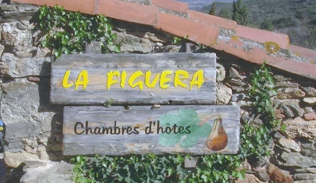 Bed and Breakfast La Figuera Camelas Екстер'єр фото