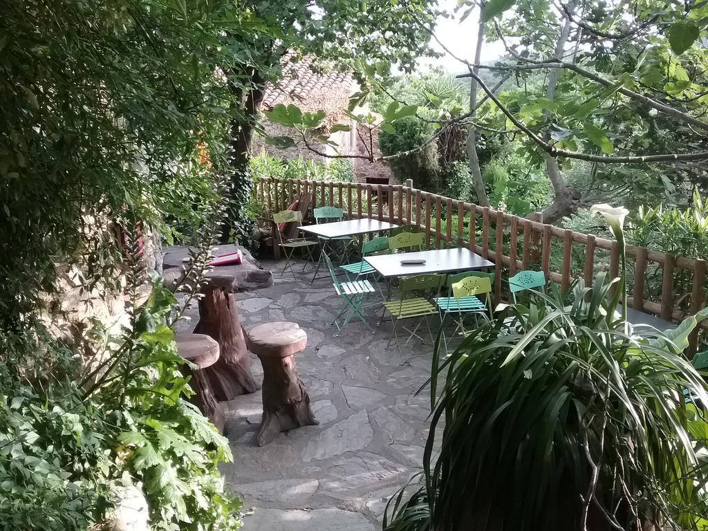 Bed and Breakfast La Figuera Camelas Екстер'єр фото